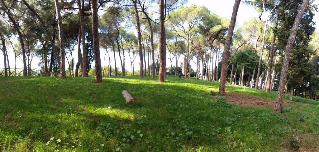 Holiday Home Roma Pokoj fotografie